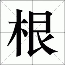 根意思|根字的解释